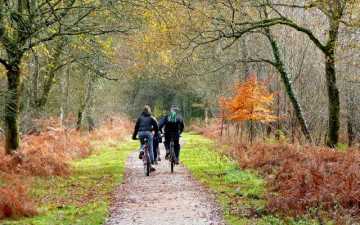 benefits of cycling.