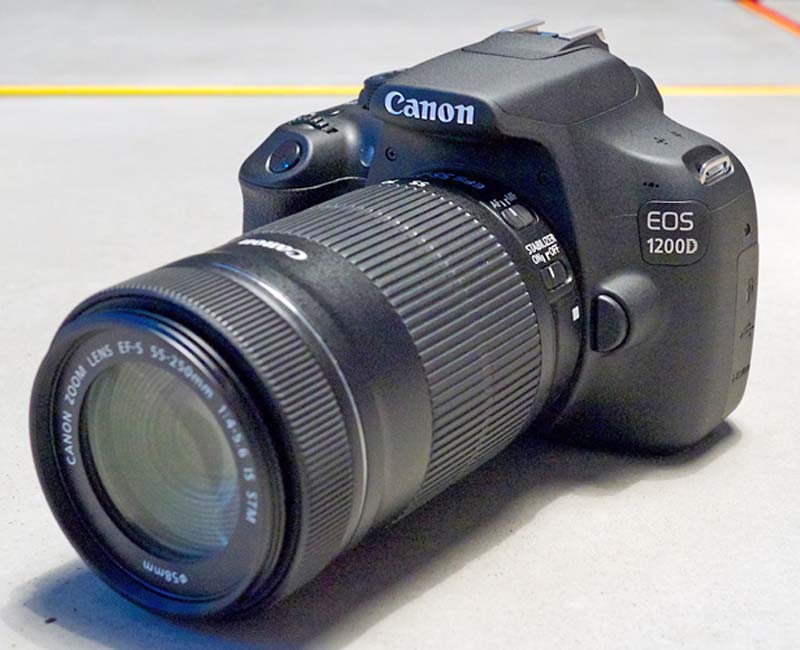 Best entry level DSLRs in 2015