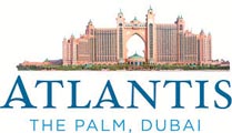 palm