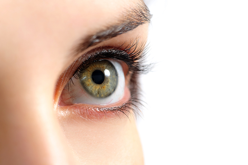 Close up of a beautiful woman green eye isolated on a white background